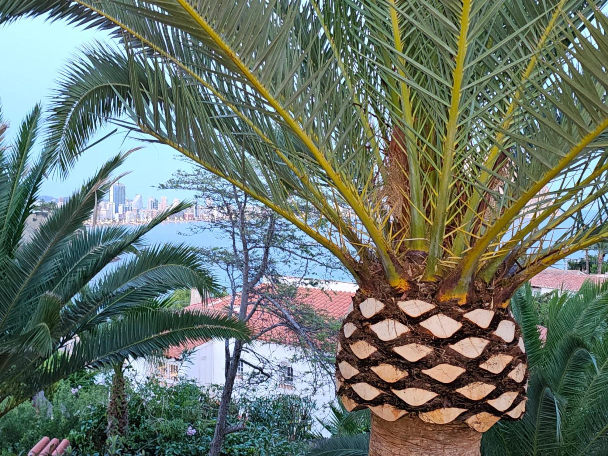 Apartamento Casa Veintiuno En Calp Exterior foto
